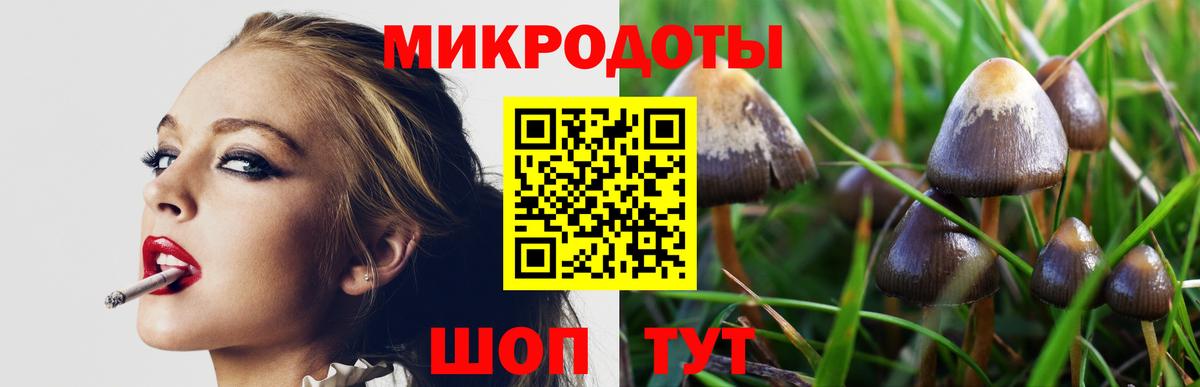 Псилоцибиновые грибы ЛСД Королёв