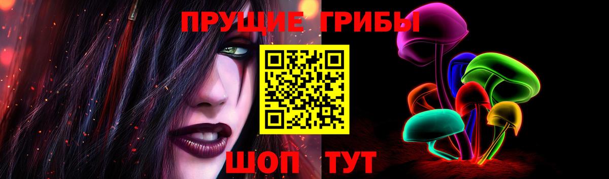 Галлюциногенные грибы Magic Shrooms  Вход с VPN  Королёв  Галлюциногенные грибы Psilocybine cubensis 